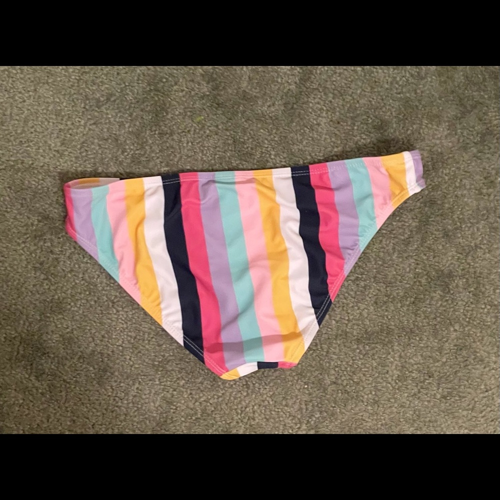 Multicolored Striped Bikini - Picture 5 of 5